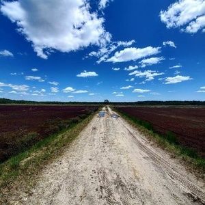 Meet your Posher, Ed